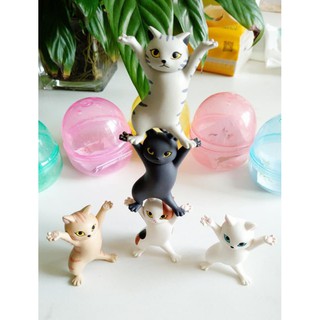 Bộ 5 Mèo May Mắn