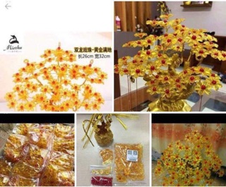 Cây kim tiền (14 cành)
