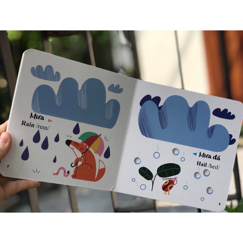 Sách - Combo 4 quyển - Sách đục trổ thông minh - Những từ vựng đầu đời của bé