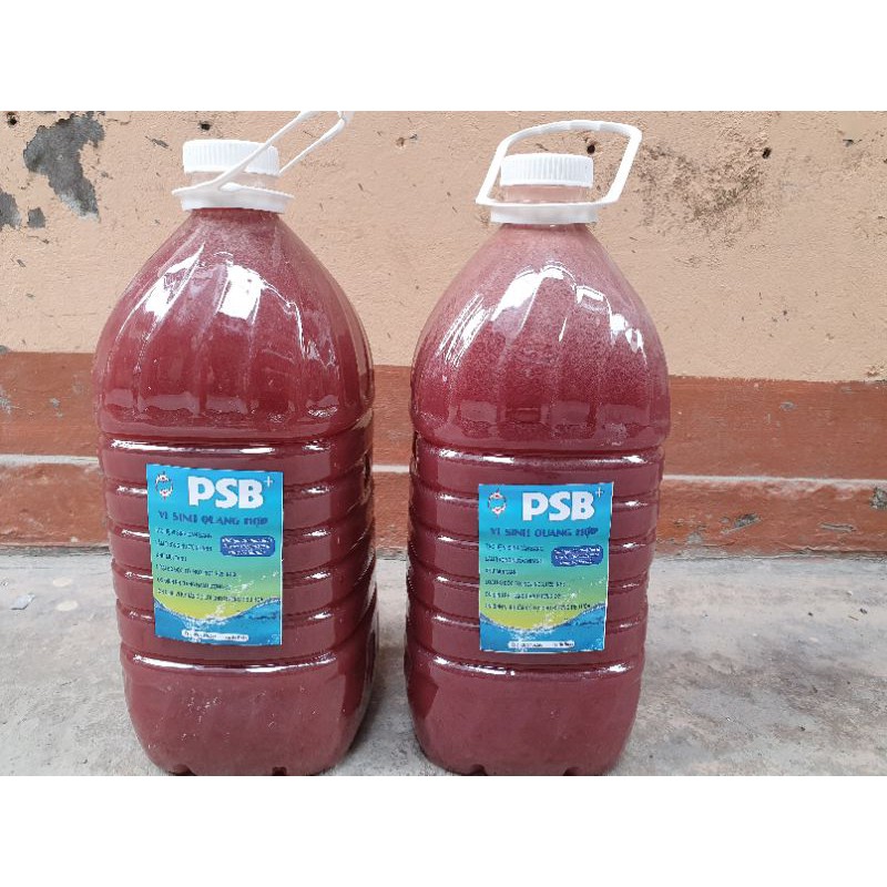 vi sinh bể cá (5 lít) Men vi sinh PSB+