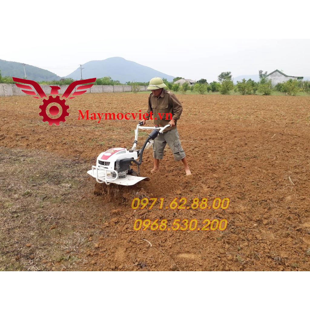 Máy cày ruộng vườn chính hãng Trâu Vàng giá rẻ tại Hòa Bình