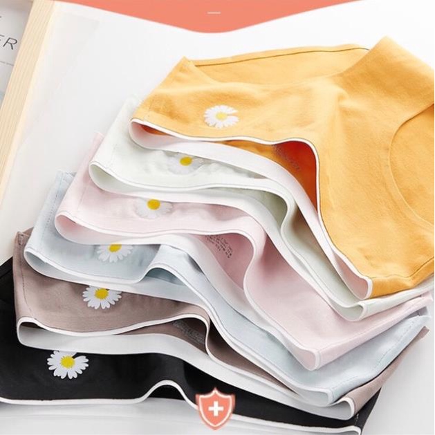 Quần Lót Cotton Ép Không Viền Hoa Cúc Hotrend 287