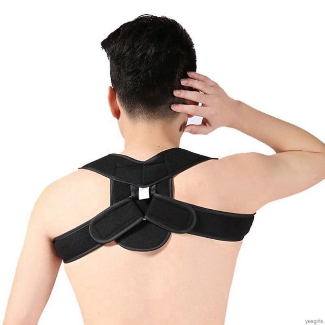 Đai lưng chống gù hỗ trợ cột sống,  Xương Bả vai, xương đòn