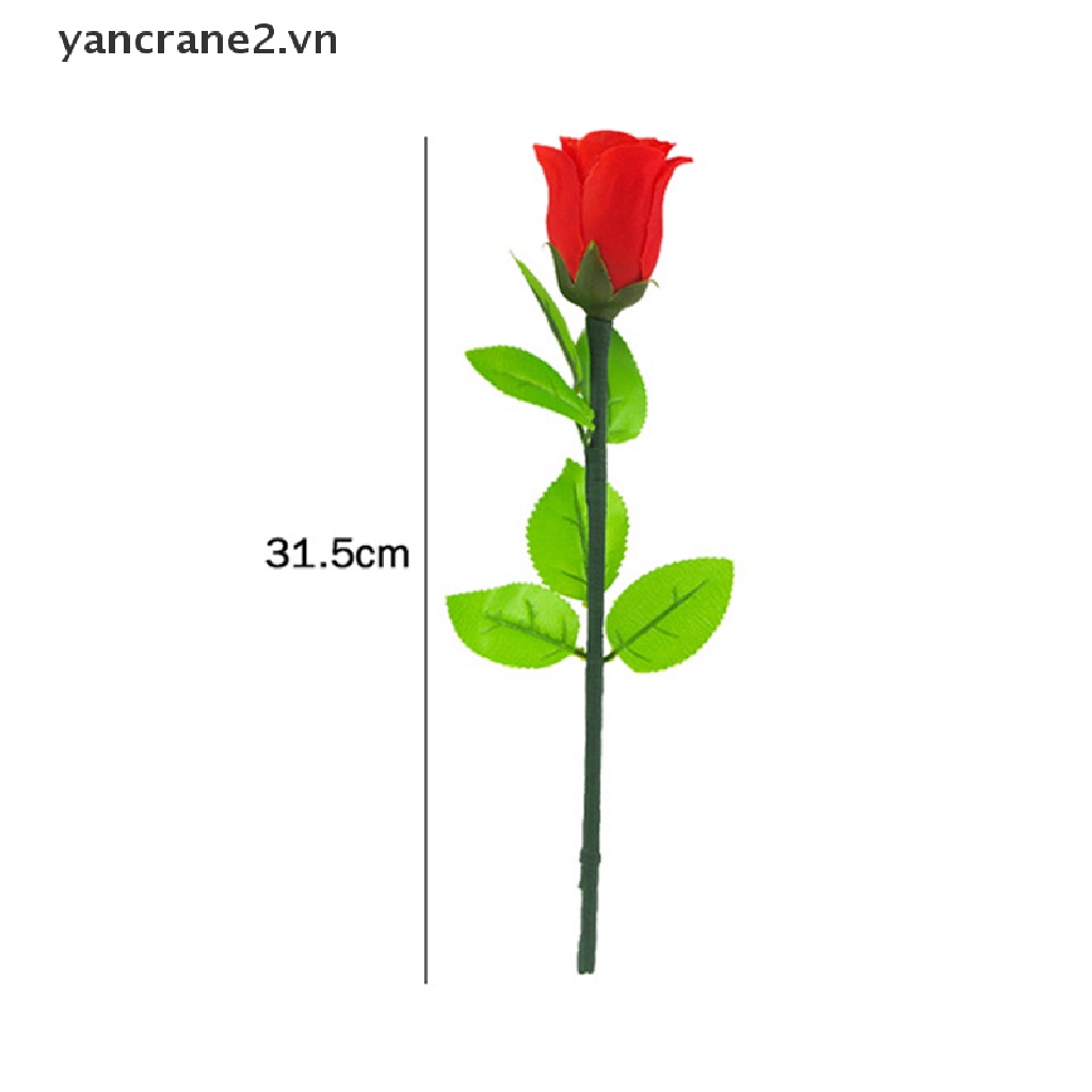 Hoa Hồng Dùng Làm Ảo Thuật Độc Đáo