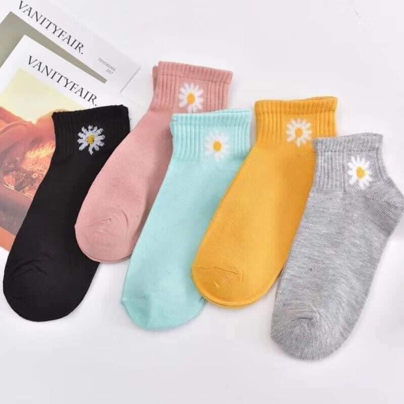 Combo 10 đôi ❌❌TẤT HOA CÚC HOTTREND❌❌