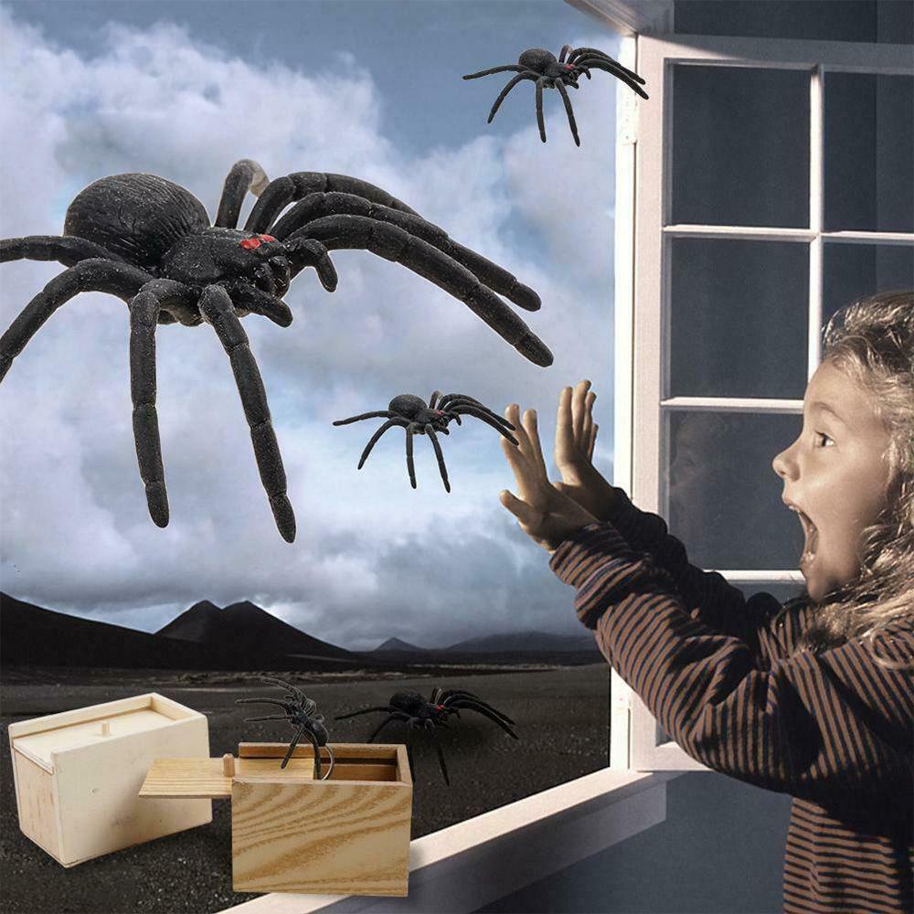 Hộp Đồ Chơi DAPHS Spider Scare Ẩn Trong Trường Hợp