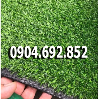 Cỏ Nhựa Nhân Tạo Mẫu Cỏ Sợi Kim 2cm Loại Đẹp Nhất Đế nặng