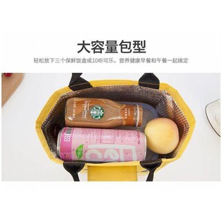 Túi giữ nhiệt hình thú