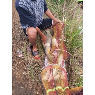 mồi câu nguyên cá chép