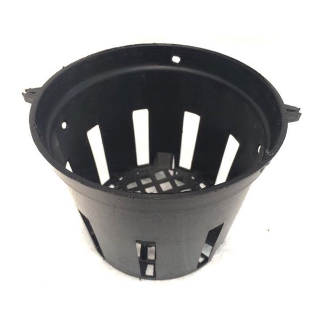 Chậu trồng lan đen phi 18cm