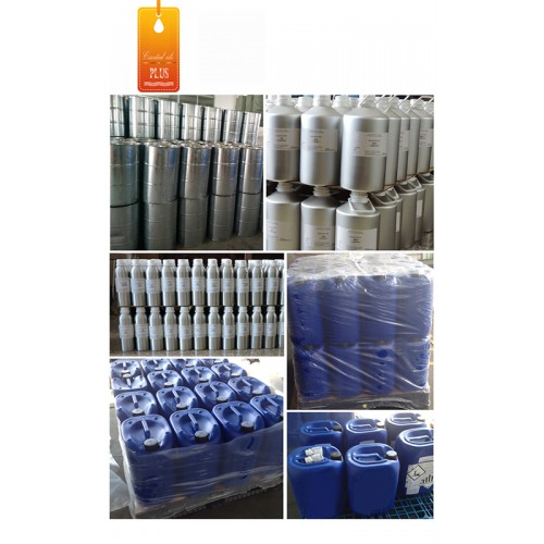 Tinh dầu phong lữ plus 20ml – Geranium EO nguyên chất thiên nhiên Ấn Độ – Quyến rũ, thanh lịch | BigBuy360 - bigbuy360.vn