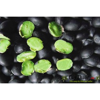 Đậu đen xanh lòng Thuần chủng - Hữu cơ - Đã đãi sạch - Đậu đen organic