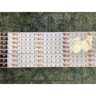 Thước đo size cá