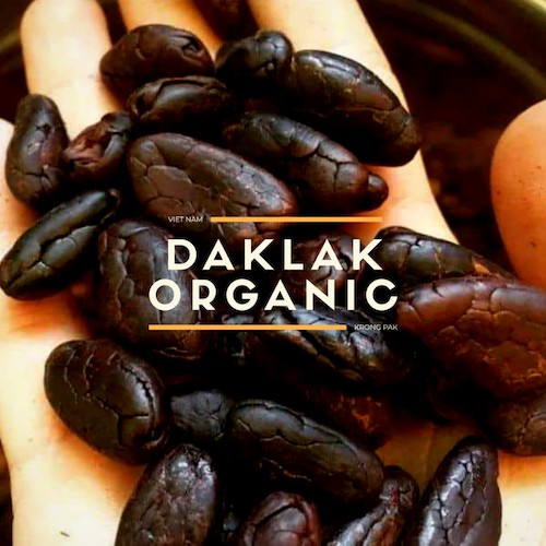 [TẶNG MUỖNG GỖ] Bột Cacao Nguyên Chất Daklak Organic | Ca cao Đắk Lắk 500 gram