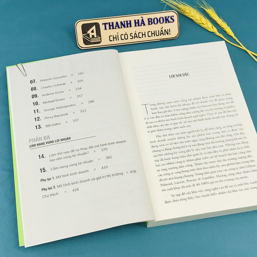 Sách - Vùng Lợi Nhuận - Làm Thế Nào Để Xác Định Được Vùng Lợi Nhuận Trong Chiến Lược Kinh Doanh? - Thanh Hà Books