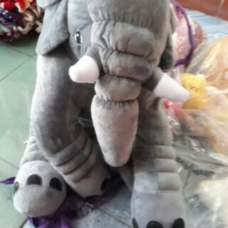 Gấu voi