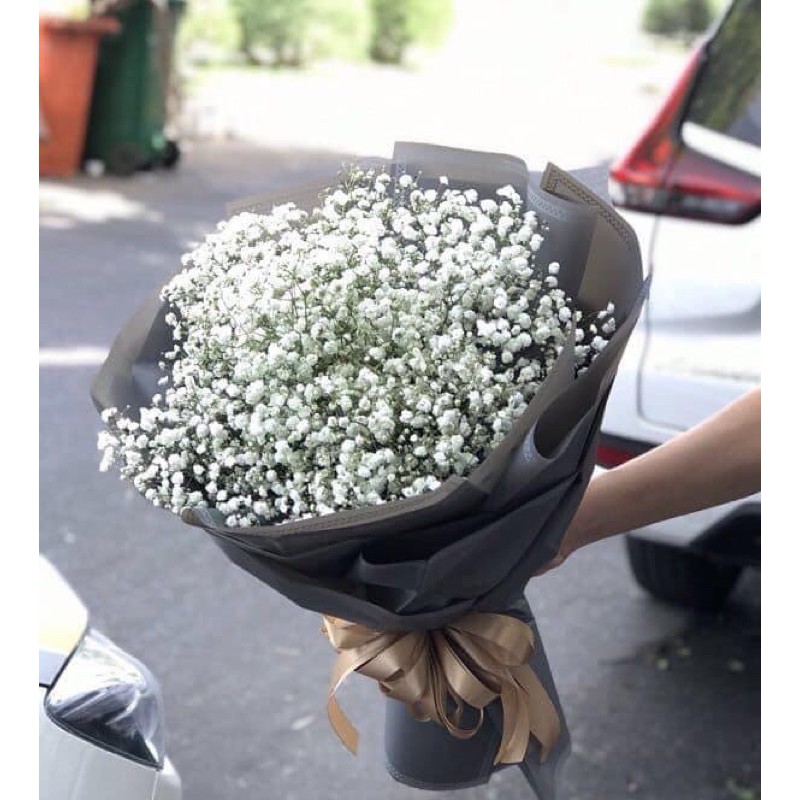 Hoa bó babay trắng và xanh quà tặng tình yêu