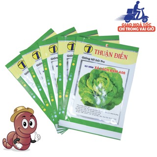 [HẠT GIỐNG RAU XÀ LÁCH BÚP ĐĂM] tỉ lệ nảy mầm cao