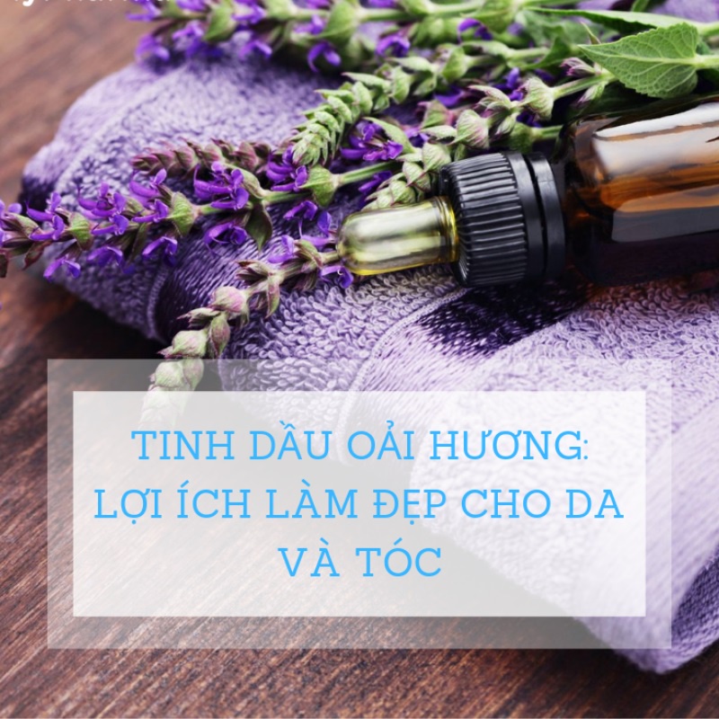 Tinh Dầu Oải Hương Nguyên Chất Chiết Xuất Từ Thiên Nhiên Dung Tích 10ml Thơm Phòng Toả Hương Đuổi Muỗi Và Khử Khuẩn