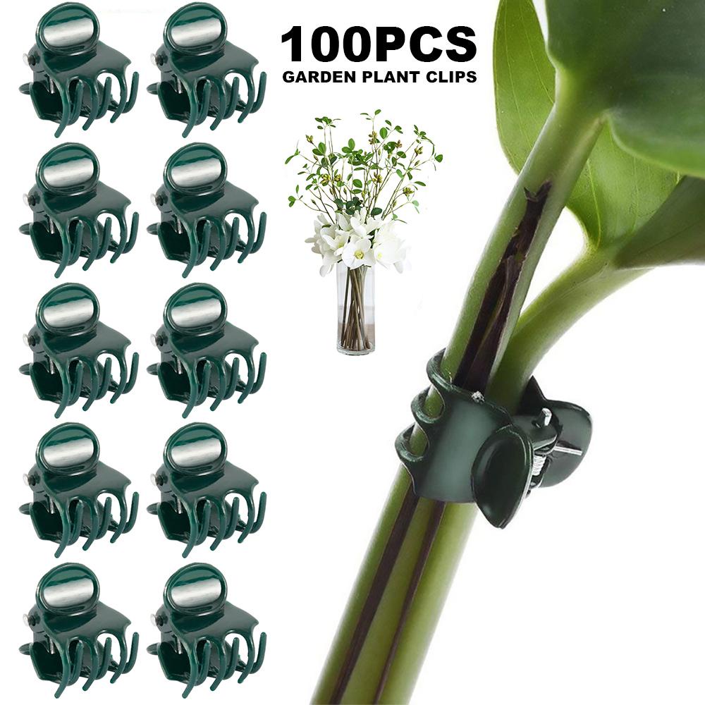 Set 100 Kẹp Nhựa Trồng Hoa Lan Chuyên Dụng