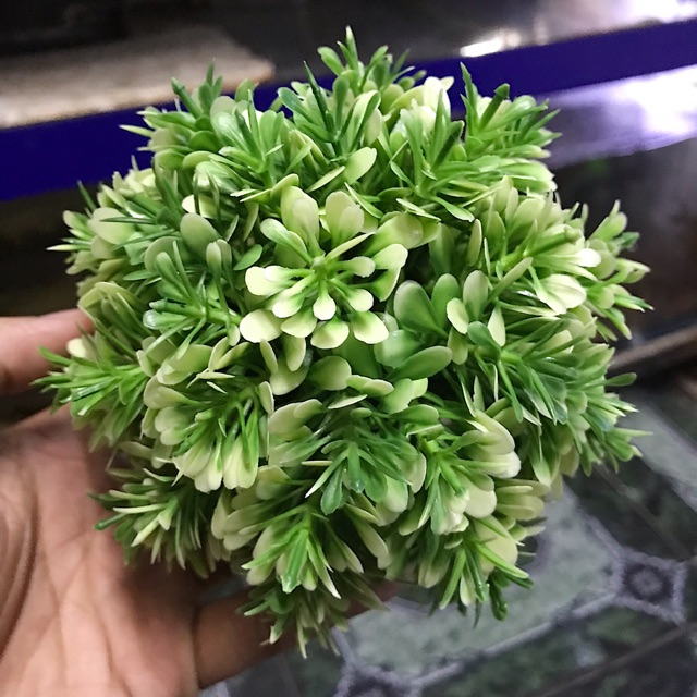 RONG GIẢ TRANG TRÍ HỒ CÁ NON BỘ ĐƯỜNG KÍNH 13CM CAO 12CM