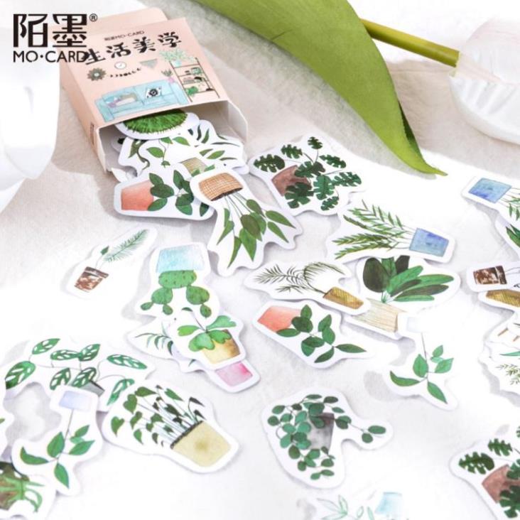 Bộ 45 Sticker Cây Cảnh E116