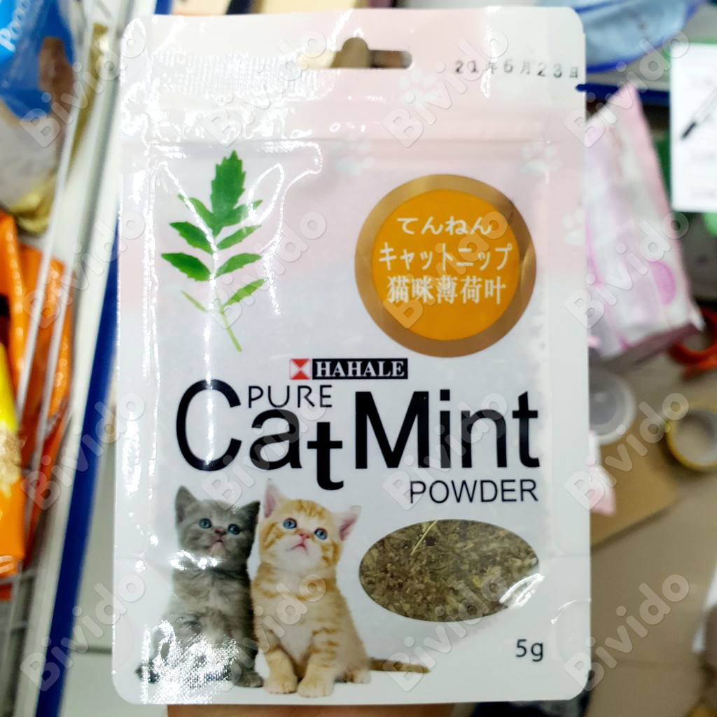 Cỏ mèo Hahale CatMint Powder hương bạc hà cho mèo thư giãn túi 5g - Bivido