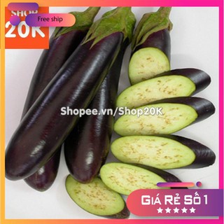 Hạt giống Cà tím