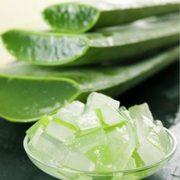 1kg thạch nha đam Việt