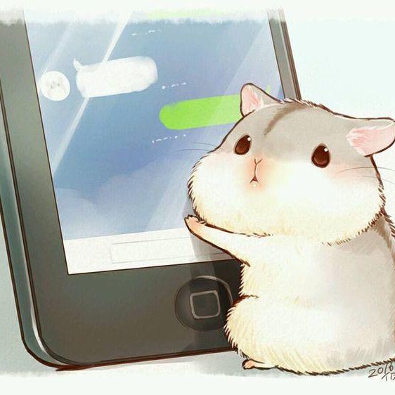 tokobarucellulerrc.vn