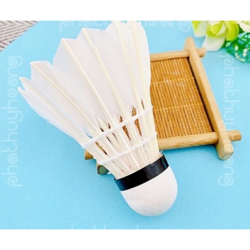 Quả cầu lông đánh vợt