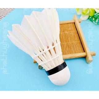 Quả cầu lông đánh vợt