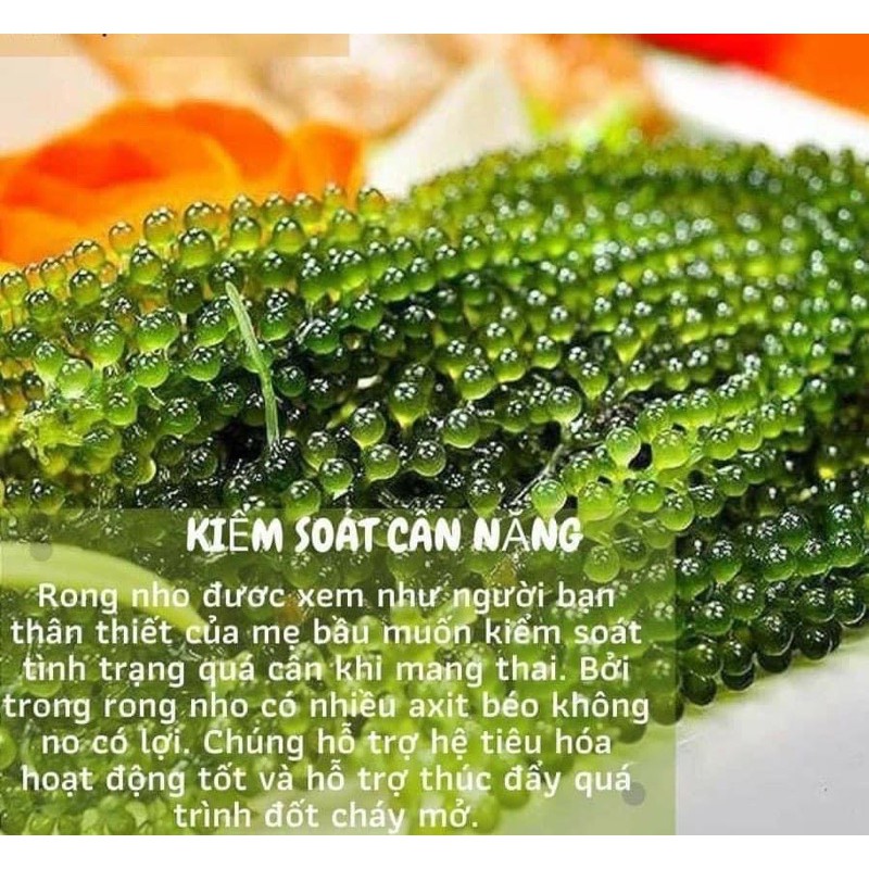 Giá sỉ 1kg Rong Nho khô tách nước(10gói)