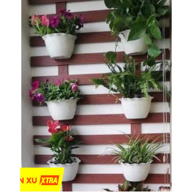 Chậu Trồng Hoa Ốp Tường - Chậu Treo Tường