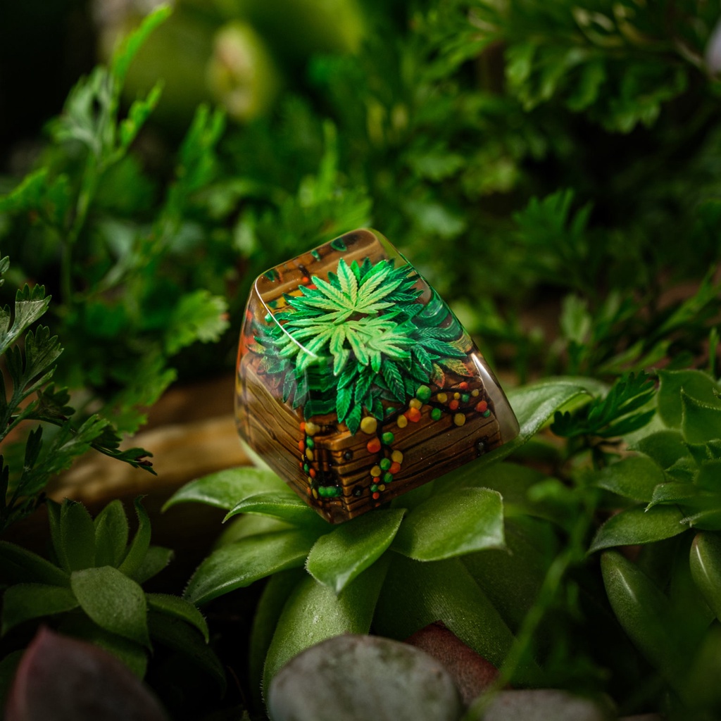 Keycap Artisan bàn phím cơ Dwarf Factory TERRARIUM V2  - Hàng chính hãng