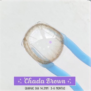 Kính Áp Tròng CHADA GRAY - BROWN ( contact lens )
