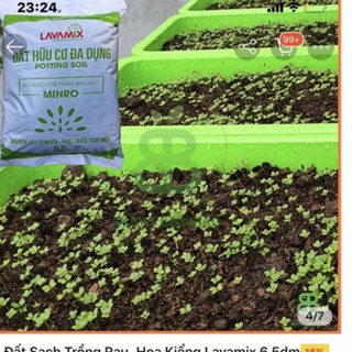 đất sạch lavamix loại dưới 3kg