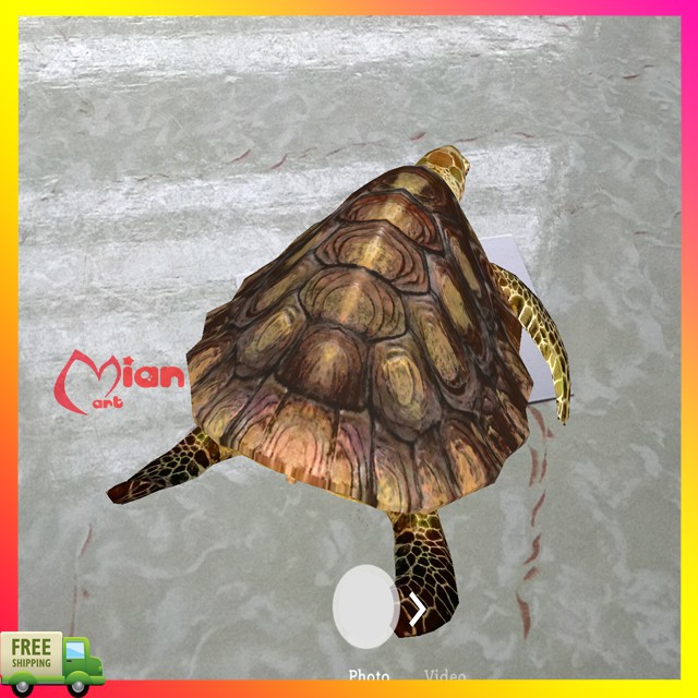 Bộ thẻ animal 4d hình ảnh động thực vật sinh động - MIAN MART