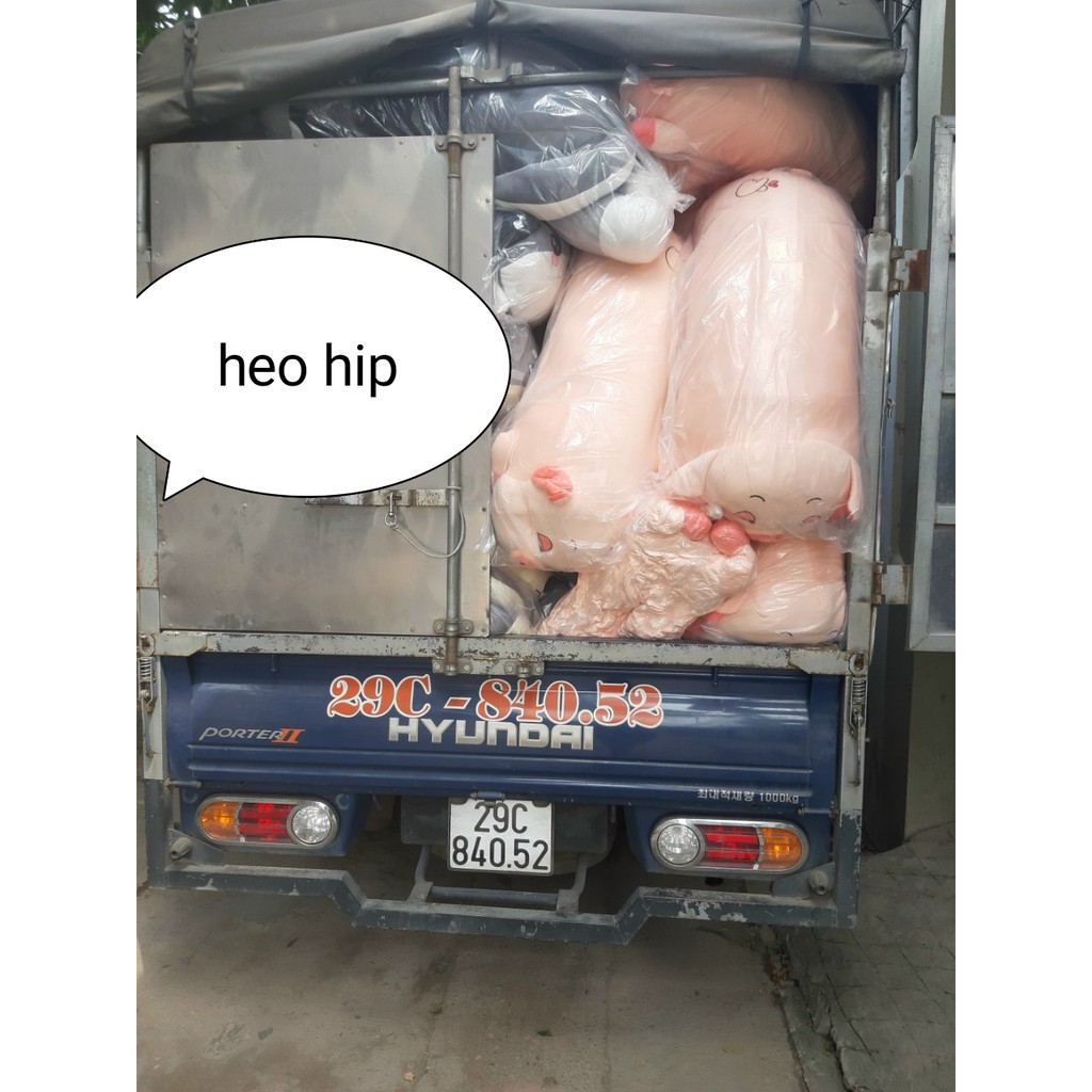 Gối Ôm Gấu Bông Heo Híp đáng yêu ( ảnh thật)