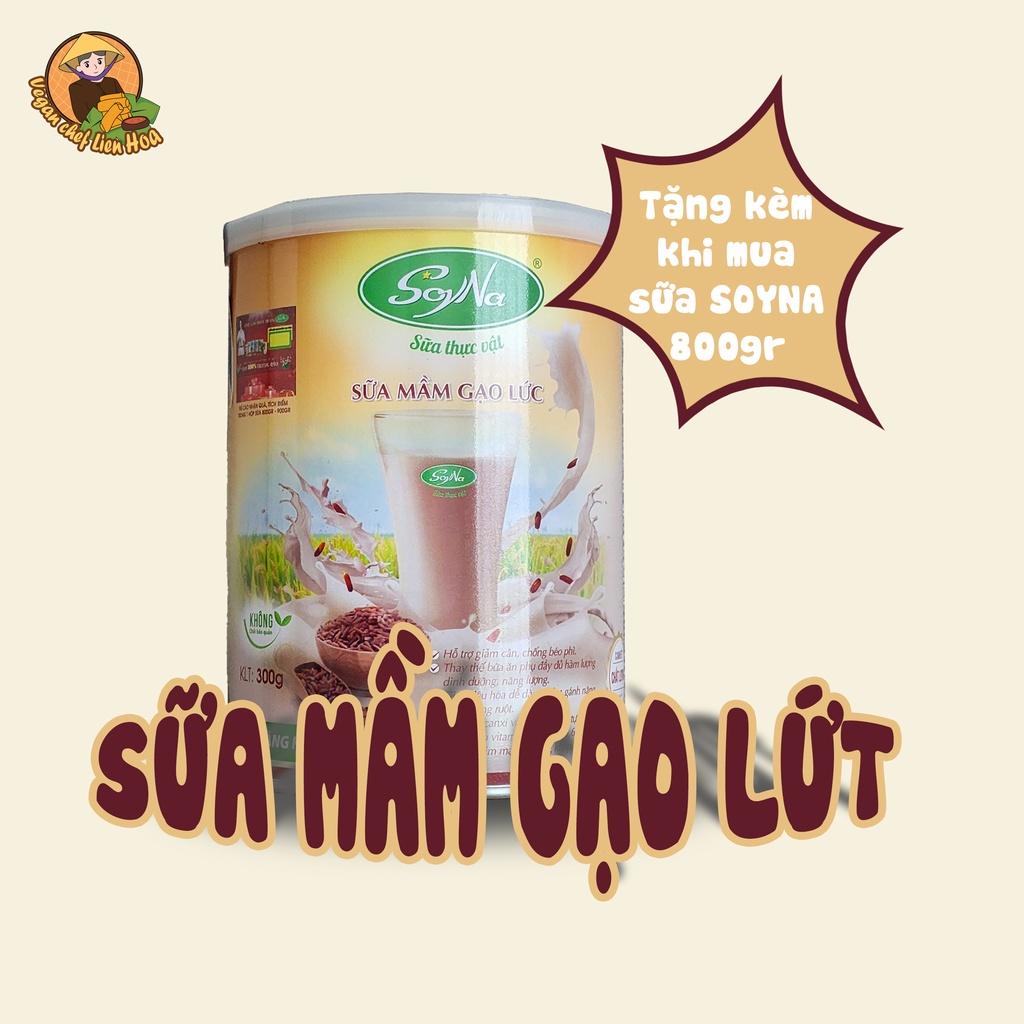 SỮA MẦM GẠO LỨT SOYNA thực dưỡng (400G) - Sữa thực vật Chay