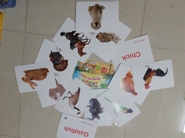 FLASHCARD  DẠY TRẺ MẦM NON 21 CHỦ ĐỀ