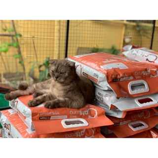 Thức ăn mèo Catsrang túi 5kg