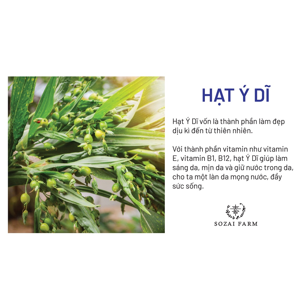 Sữa dưỡng da hạt ý dĩ Sozai Farm Nhật Bản 180ml