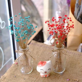 Lọ thủy tinh mini cắm hoa khô