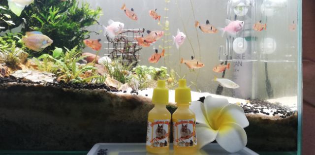 Vitamin , Canxi , Tiêu Chảy Cho Thỏ - Bọ - Hamster - Rat