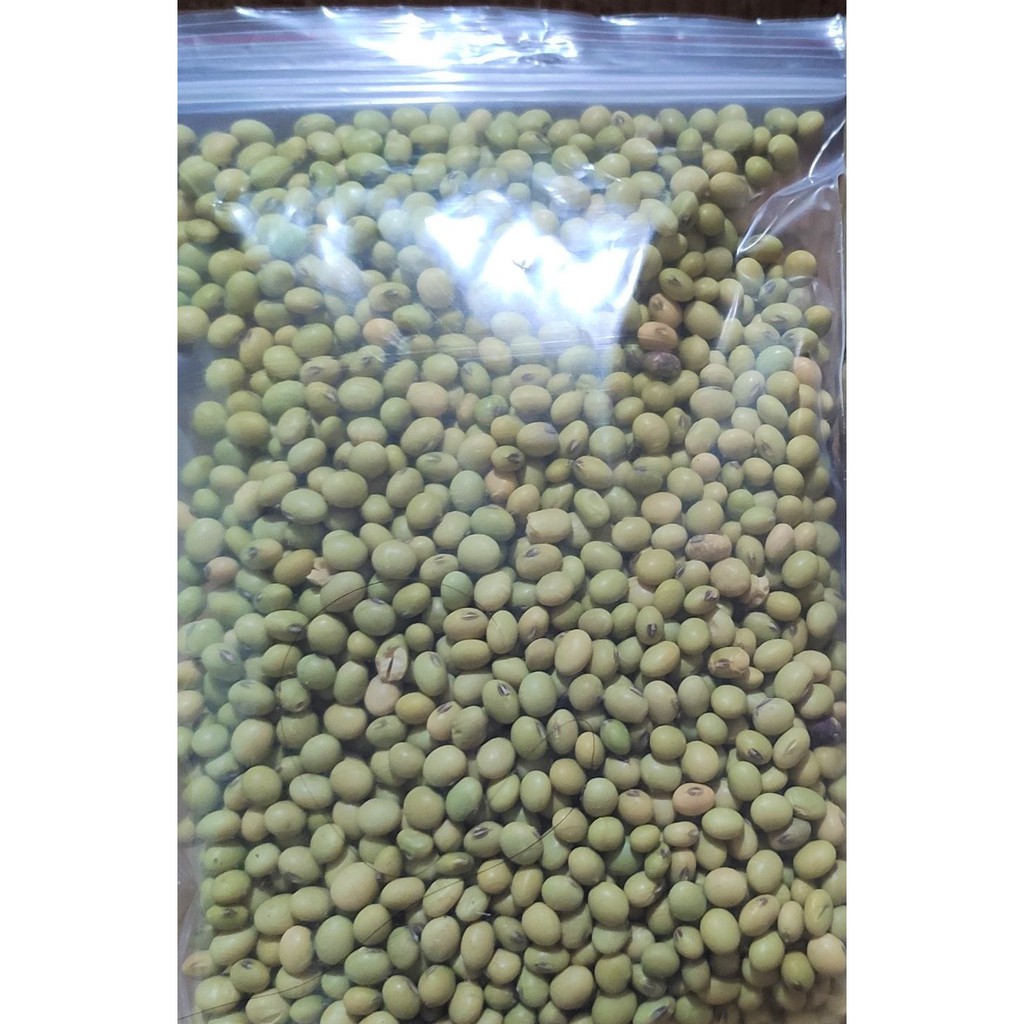 100g đỗ tương làm mầm đậu nành – đỗ tương quê hạt mẩy đẹp