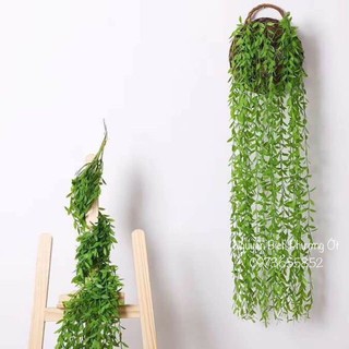🌿 Cụm Lá Liễu Rủ Trang Trí 5 nhánh dài 82cm-Cây Giả