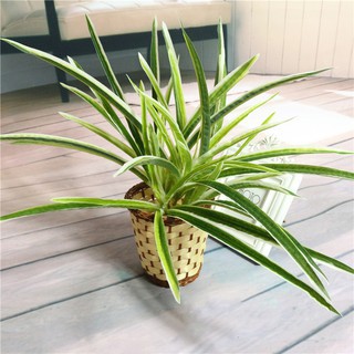 Cây giả - Bụi cỏ nhựa dài 47cm - Cành điểm, trang trí tường cỏ, hàng rào
