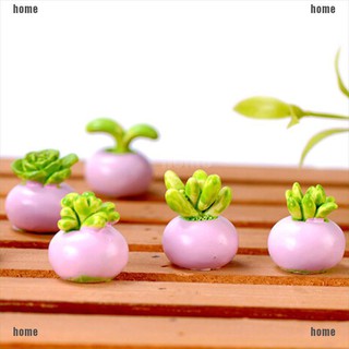 2 Chậu Hoa mini