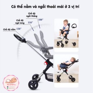 Xe đảo chiều du lịch TOMORROW